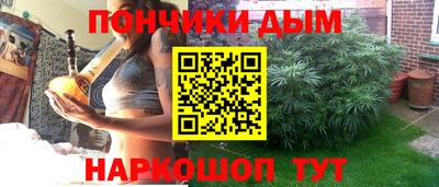 сатива Можга